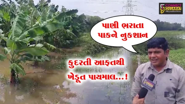 અંકલેશ્વરમાં નર્મદા નદી કાંઠાના ખેતરોમાં પૂરના પાણીની જમાવટથી ખેતીના પાકને નુકસાન..
