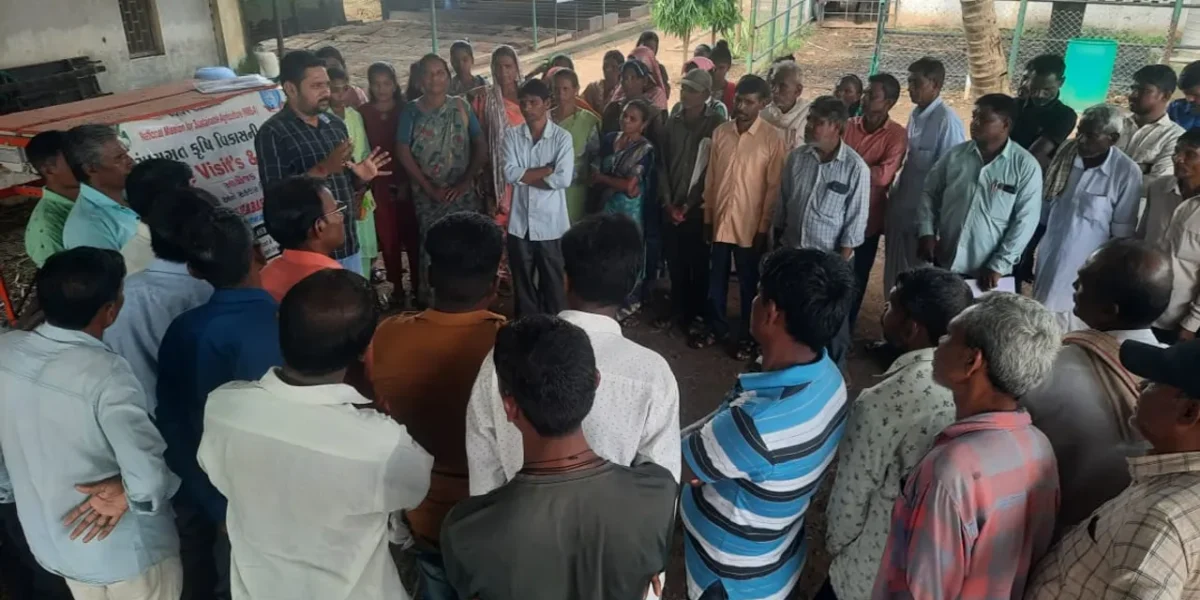 ભરૂચ: નેત્રંગના ચાસવડ કૃષિ વિજ્ઞાન કેન્દ્ર પ્રાકૃતિક ખેતી સંદર્ભે કાર્યશાળા યોજાઈ