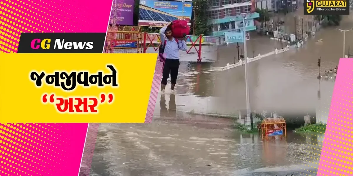 વડોદરા : વિશ્વામિત્રીના પાણી ફરી વળતાં 9 બ્રિજ બંધ કરાયા, SDRFની 3 ટીમ તૈનાત કરાય…