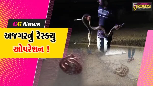 ભરૂચ: જંબુસરમાં અજગર નિકળવાનો સિલસિલો યથાવત, વધુ 2 અજગરનું રેસ્ક્યુ કરાયુ
