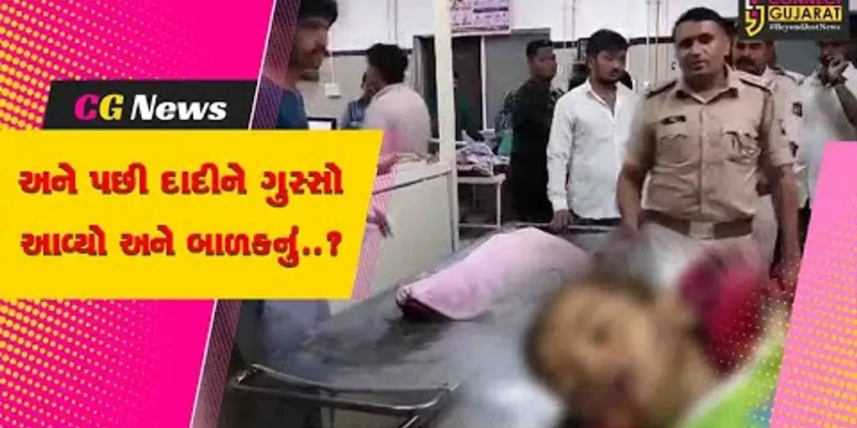 અમરેલી : રાજસ્થળી ગામમાં દોઢ વર્ષના બાળકને દાદીએ બચકા ભરી મોતને ઘાટ ઉતારતા અરેરાટી વ્યાપી