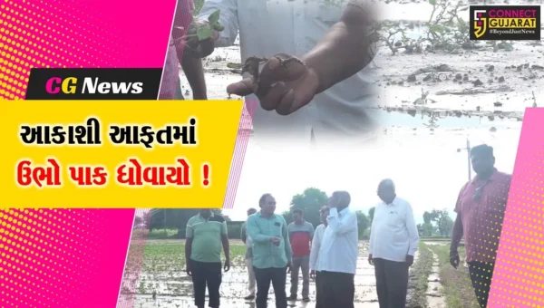 સાબરકાંઠા: પ્રાંતિજ  તાલુકામાં વરસાદના કારણે મોટું નુકશાન, સરકાર સહાય ચૂકવે એવી ખેડૂતોની માંગ