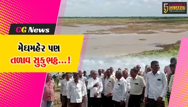 અમરેલી: લીલીયાના સલડી ગામે તળાવ સુકાતા ખેડૂતો અને માલધારીઓની ચિંતામાં વધારો