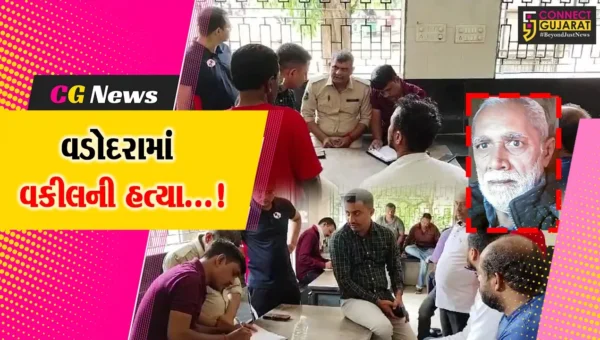 વડોદરા:વરિષ્ઠ વકીલ પર લાકડીથી હુમલો કરી મોતને ઘાટ ઉતારતા અજાણ્યા શખ્સો