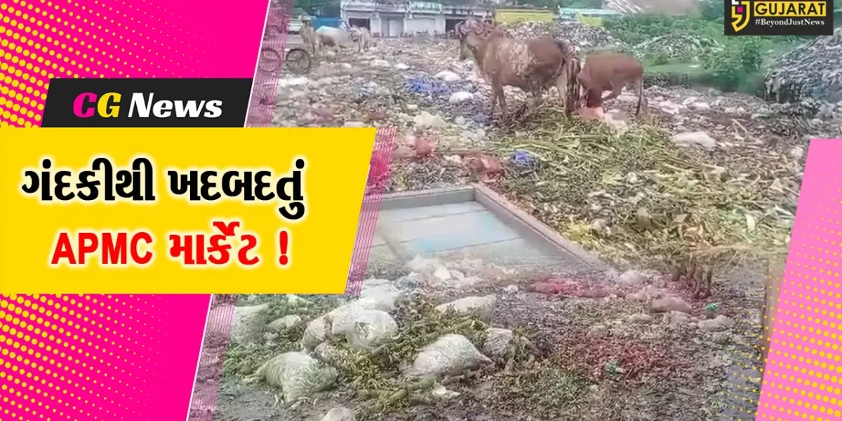 ભરૂચ: APMC માર્કેટમાં ગંદકીએ માઝા મુકતા કિસાન વિકાસ સંઘે ઉચ્ચારી આંદોલનની ચીમકી !