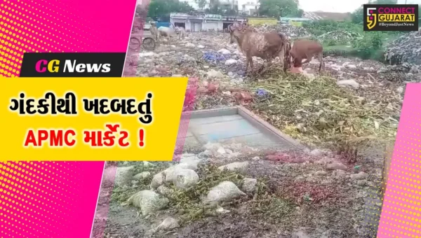 ભરૂચ: APMC માર્કેટમાં ગંદકીએ માઝા મુકતા કિસાન વિકાસ સંઘે ઉચ્ચારી આંદોલનની ચીમકી !
