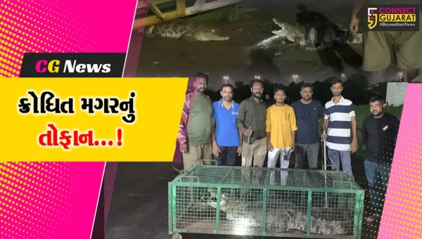 વડોદરા: 7 ફૂટનો મગર તોફાની બનતા રેસ્ક્યુ ટીમનો પરસેવો પડાવી દીધો