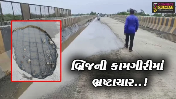 વડોદરા : જૂના સમલાયા નજીક બ્રિજની કામગીરીમાં સળિયા સહિત વિકાસનો ચહેરો દેખાઈ આવતા જનઆક્રોશ…