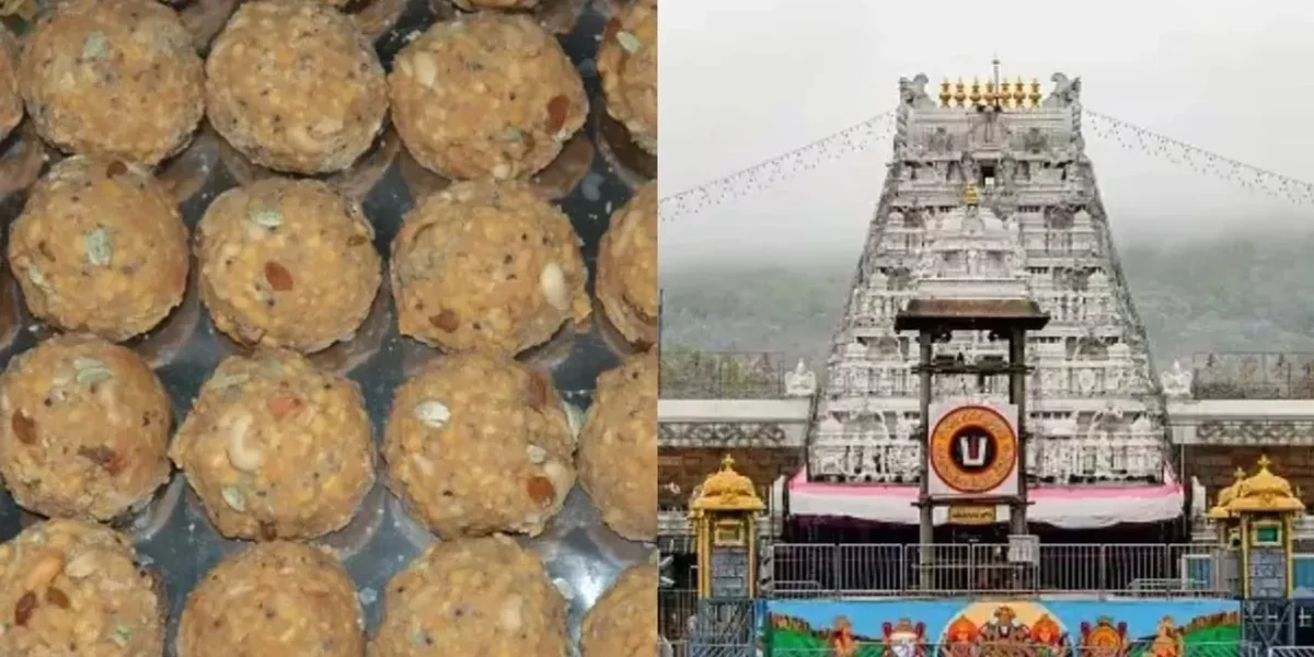તિરુપતિના લાડુમાં પશુની ચરબી મળી, ભાજપે કહ્યું હિન્દુઓનું અપમાન