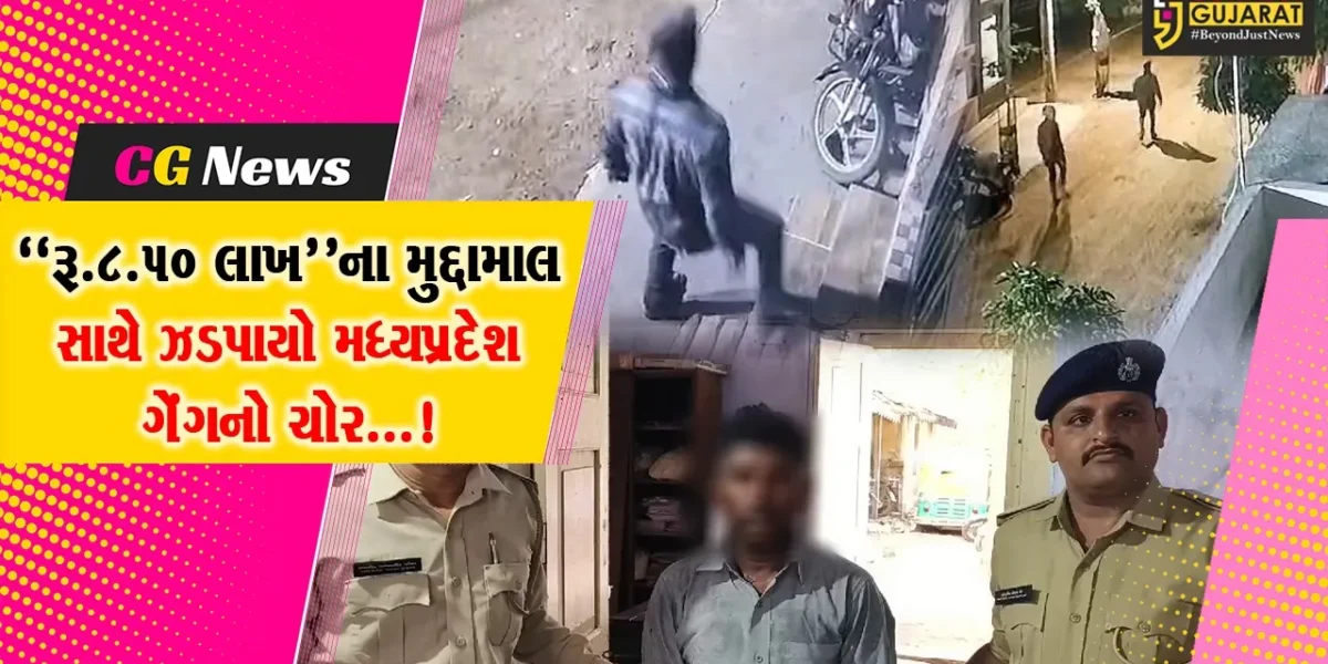 સુરેન્દ્રનગર : ઘરફોડ ચોરી કરતી મધ્યપ્રદેશ ગેંગના ચોરની રૂ.8.50 લાખના મુદ્દામાલ સાથે પોલીસે કરી ધરપકડ