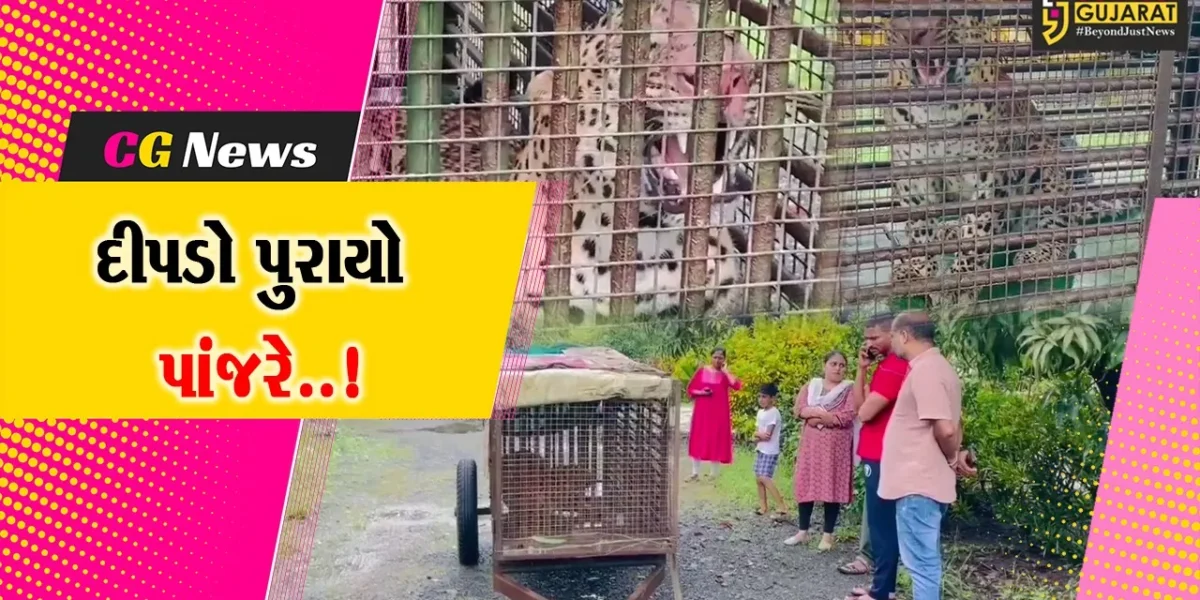 વલસાડના પારડીના ગોઇમા ગામમાંથી દીપડો પાંજરે પૂરતા ગ્રામજનોમાં હાશકારો
