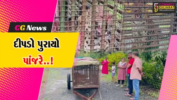 વલસાડના પારડીના ગોઇમા ગામમાંથી દીપડો પાંજરે પૂરતા ગ્રામજનોમાં હાશકારો