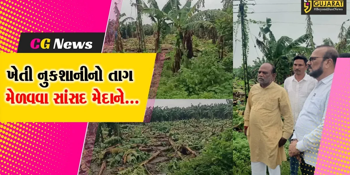 ભરૂચ : ઓફિસમાં નહીં બેસી અસરગ્રસ્ત પાણેથા-ઇન્દોરમાં સર્વે કરવા ખેતીવાડી અધિકારીઓને સાંસદનું સૂચન
