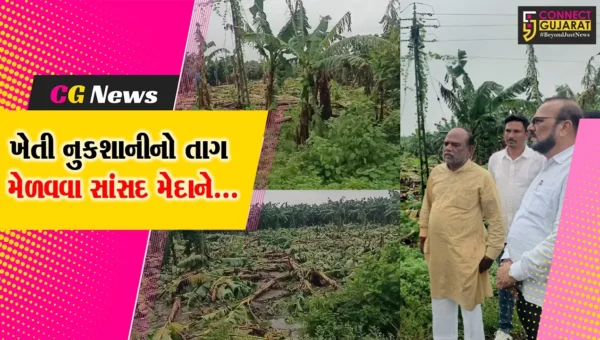 ભરૂચ : ઓફિસમાં નહીં બેસી અસરગ્રસ્ત પાણેથા-ઇન્દોરમાં સર્વે કરવા ખેતીવાડી અધિકારીઓને સાંસદનું સૂચન