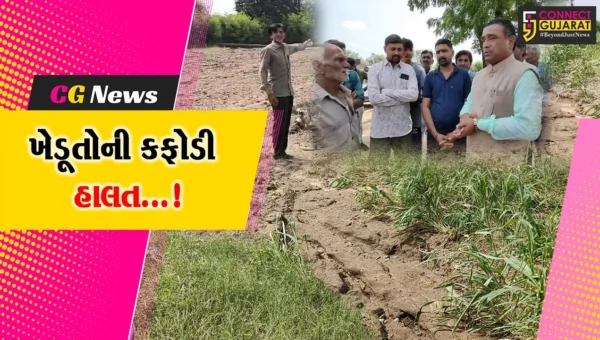 સુરેન્દ્રનગર: લીંબડી તાલુકામાં ભારે વરસાદને પગલે ખેતીમાં નુકસાનથી ખેડૂતોની હાલત કફોડી બની