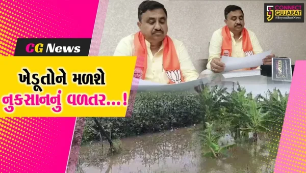 ભરૂચ જિલ્લામાં ખેતીમાં નુકસાન સામે સરકાર આપશે વળતર,જિલ્લા ભાજપ પ્રમુખે આપી માહિતી