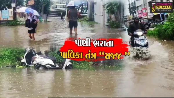 ભરૂચ : ભારે વરસાદમાં નીચાણવાળા વિસ્તારો-સોસાયટીઓમાં પાણી ભરાયા
