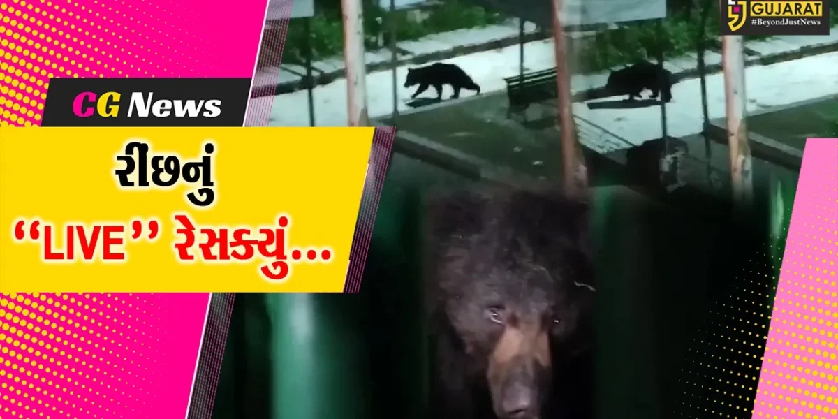 છેલ્લા 21 દિવસથી અંબાજી-ગબ્બરમાં આંટાફેરા મારતા રીંછનું વન વિભાગે રેસક્યું કર્યું…