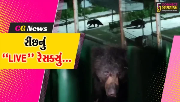 છેલ્લા 21 દિવસથી અંબાજી-ગબ્બરમાં આંટાફેરા મારતા રીંછનું વન વિભાગે રેસક્યું કર્યું…