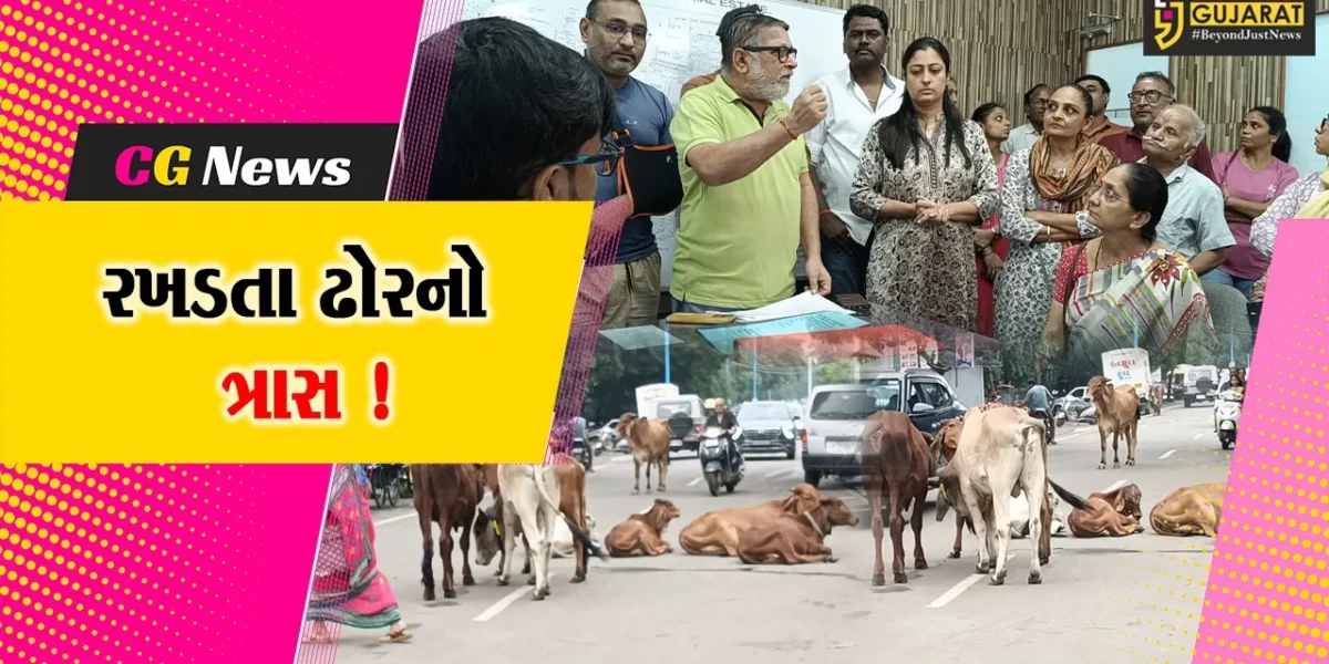 અંકલેશ્વર: GIDCના રહેણાંક વિસ્તારમાં રખડતા ઢોરનો ત્રાસ