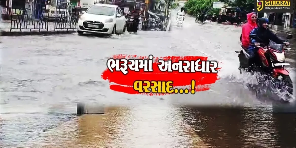 ભરૂચ નર્મદા નદીની જળ સપાટી 20 ફૂટ પર, મોસમનો કુલ વરસાદ આટલો નોંધાયો