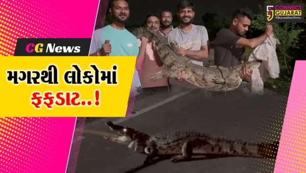 ભરૂચ : આમોદ નજીક ઢાઢર નદીમાં પૂરના પાણી ઓસરતા મગરનું બહાર નીકળવું યથાવત, 3 મગરને રેસક્યું કરાયા