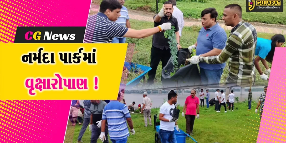 ભરૂચ: નર્મદા પાર્કમાં ઇન્ટરનેશનલ હ્યુમન રાઈટ્સ પ્રોટેક્શન કાઉન્સિલ દ્વારા વૃક્ષારોપણ કરાયુ