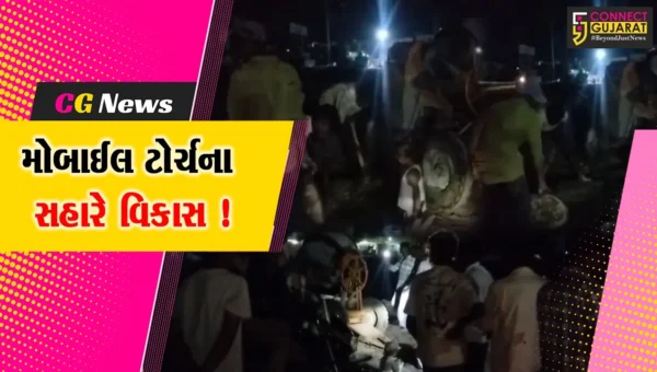 ભરૂચ: લ્યો બોલો હવે આમોદમાં મોબાઈલ ટોર્ચના સહારે તળાવના બ્યુટીફીકેશનની કામગીરી