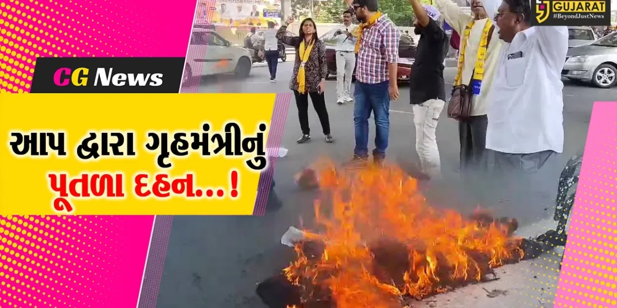 વડોદરા: AAPના કાર્યકર્તાઓએ ગૃહમંત્રીનું પૂતળા દહન કરતા પોલીસે કરી અટકાયત