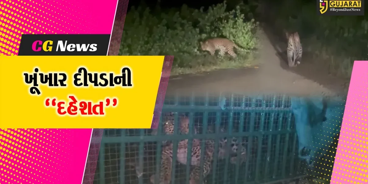 નવસારી : દીપડાના હુમલાની ઘટના બાદ વન વિભાગની કવાયત, દિપડો પાંજરે પુરાતા ગ્રામજનોમાં રાહત