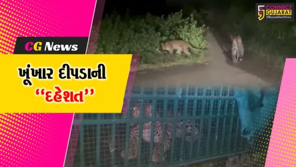 નવસારી : દીપડાના હુમલાની ઘટના બાદ વન વિભાગની કવાયત, દિપડો પાંજરે પુરાતા ગ્રામજનોમાં રાહત