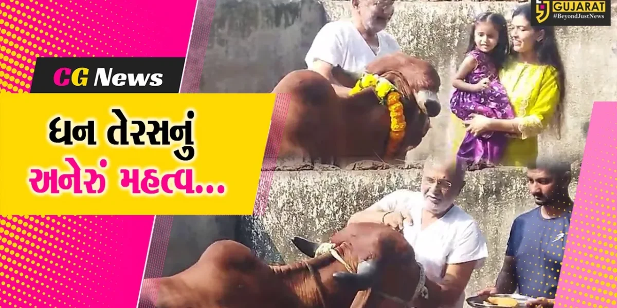 ગાયને પોતાનું ધન માનતા સુરતના જીવદયા પ્રેમીઓએ ધન તેરસ નિમિત્તે ગૌ પૂજન થકી અનોખી રીતે ઉજવણી કરી…
