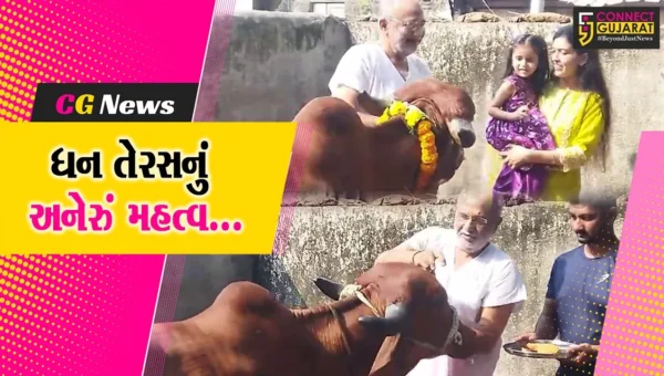 ગાયને પોતાનું ધન માનતા સુરતના જીવદયા પ્રેમીઓએ ધન તેરસ નિમિત્તે ગૌ પૂજન થકી અનોખી રીતે ઉજવણી કરી…