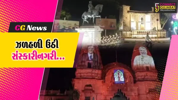 વડોદરા : ભારત અને સ્પેનના વડાપ્રધાનના આગમન પૂર્વે દિવાળી જેવો માહોલ, રોશનીથી ઝળહળી ઉઠી સંસ્કારીનગરી…
