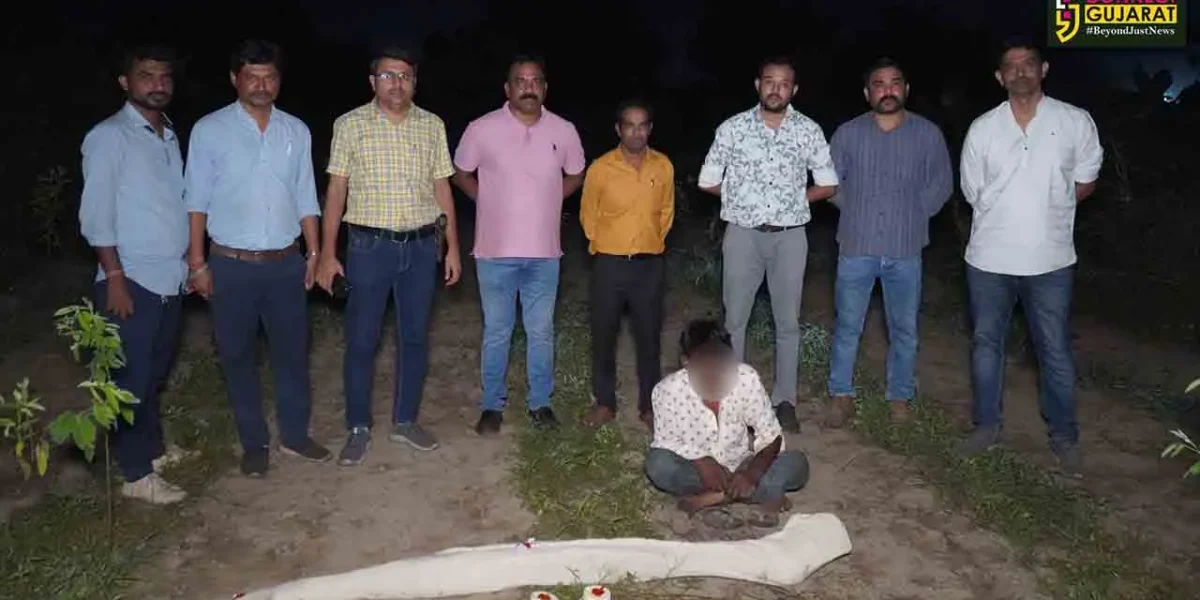ભરૂચ: ઝઘડિયાના વેલુગામે ખેતરમાં તુવેરની આડમાં ગાંજાનું વાવેતર કરનાર ઇસમની પોલીસે કરી ધરપકડ