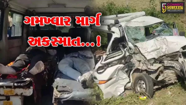 પાટણ: હારીજ ચાણસ્મા હાઇવે પર ટ્રેલર અને ઇકો કાર વચ્ચે ગમખ્વાર અકસ્માત,બેના મોત અને 7 થયા ઇજાગ્રસ્ત