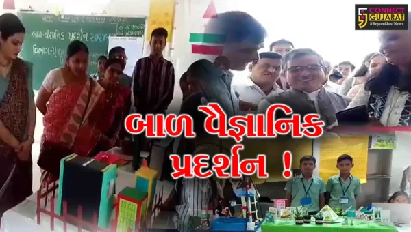 અંકલેશ્વર: નવા દીવા ગામની પ્રાથમિક શાળામાં બાળ વૈજ્ઞાનિક પ્રદર્શન યોજાયું,45 કૃતિઓ રજૂ કરાય