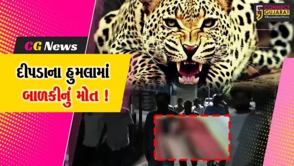 ભરૂચ: નેત્રંગના રાજાકુવા ગામે દીપડાના હુમલામાં 10 વર્ષની બાળકીનું મોત,પરિવાર પર આભ તૂટી પડ્યું