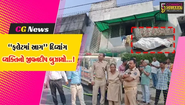 વડોદરા: ઈલોરા પાર્કના સરકારી આવાસના એક ફ્લેટમાં આગ લાગતા દિવ્યાંગ વ્યક્તિએ જીવ ગુમાવ્યો