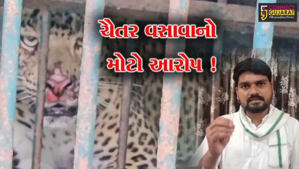 ભરૂચ: દીપડાના હુમલાના બનાવો વધતા ચૈતર વસાવાનો મોટો આક્ષેપ,કહ્યું આદિવાસી વિસ્તારમાં જ દીપડા છોડી મુકવામાં આવે છે!