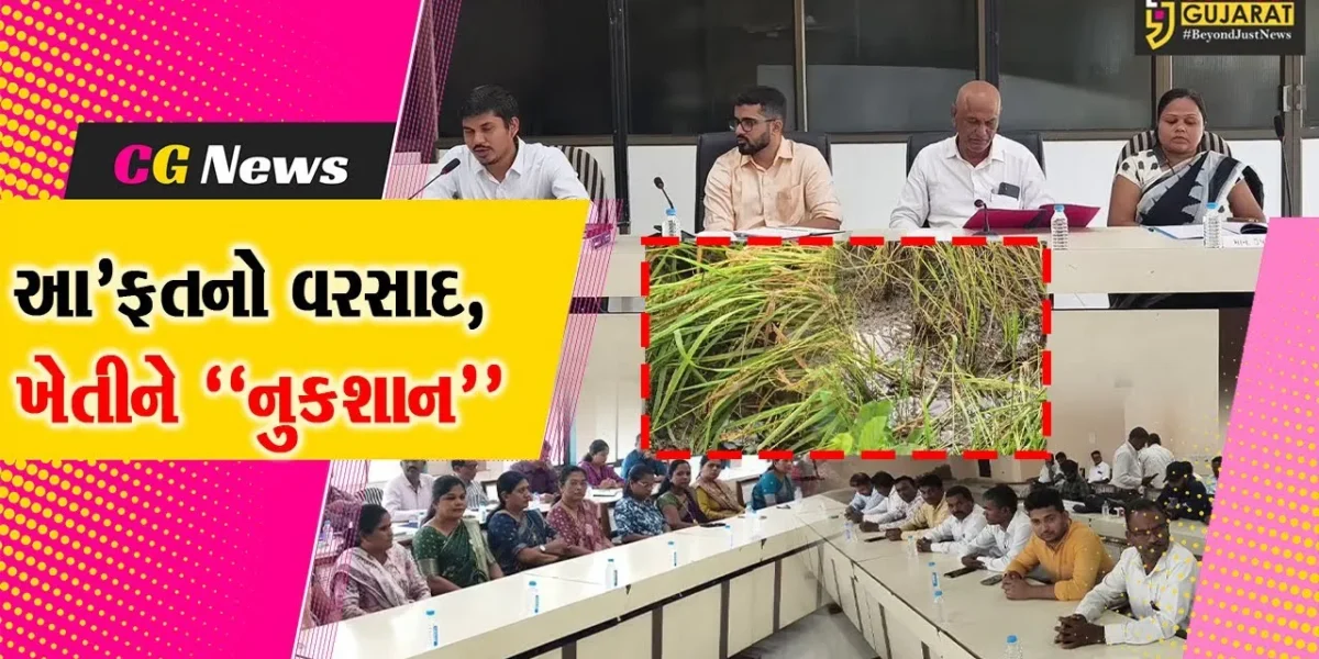 વલસાડ : ધનોત પનોત થયેલી ડાંગરની ખેતીનો સર્વે કરાયો, 33%થી વધુ પાક નુકશાની : ખેતીવાડી વિભાગ