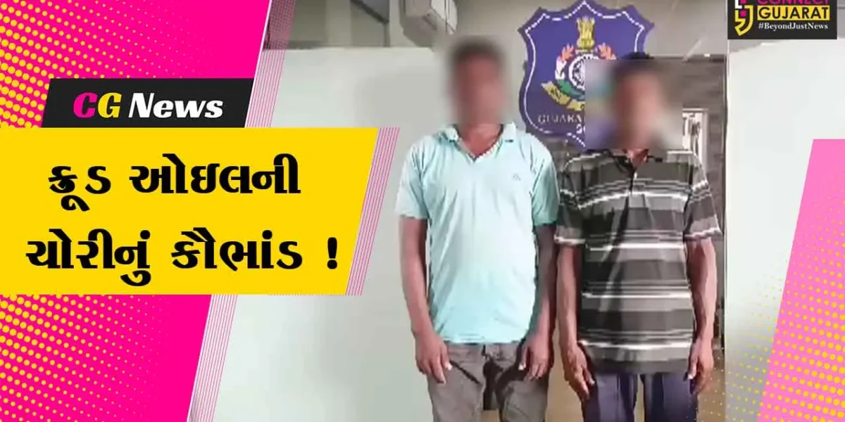 ભરૂચ:ONGCની લાઈનમાં પંક્ચર કરી ક્રૂડ ઓઇલની ચોરી કરવાનું કૌભાંડ ઝડપાયું, 2 આરોપીઓની ધરપકડ