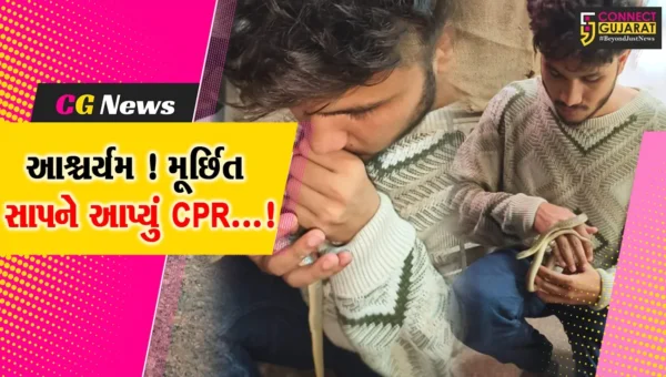 વડોદરા: મૂર્છિત ચેકર્ડ સ્નેકને CPR આપીને પ્રાણ પૂરતા સાહસિક જીવદયા પ્રેમી
