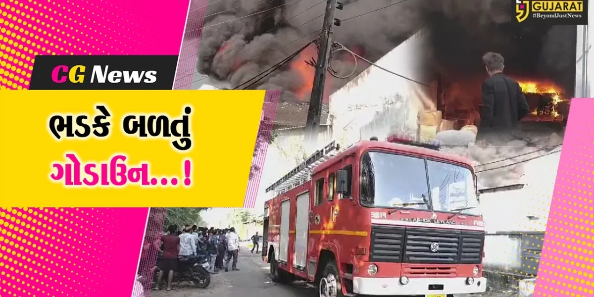 વડોદરા: વાઘોડિયા જીઆઇડીસીની શ્રી જે જે ફોર્મ કંપનીમાં ભીષણ આગથી નાસભાગ મચી