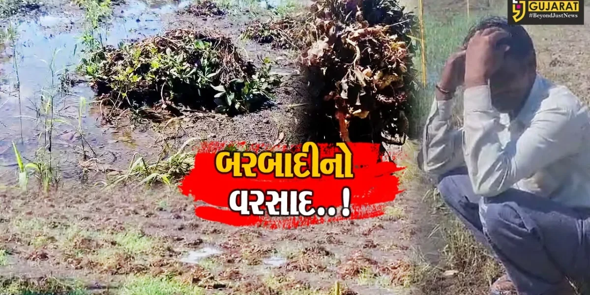 જુનાગઢ : ભારે વરસાદે મેંદરડા તાલુકામાં ખેતીપાકનો સોથ વાળી દીધો, સહાયની માંગ કરતાં ખેડૂતો…