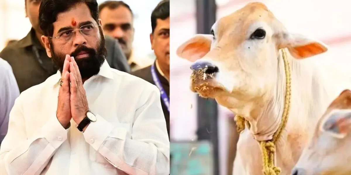 મહારાષ્ટ્રઃ ‘અમને સરકારના સર્ટિફિકેટની જરૂર નથી’, દેશી ગાયોને રાજ્ય માતાનો દરજ્જો આપવા પર વિપક્ષનો પ્રહાર
