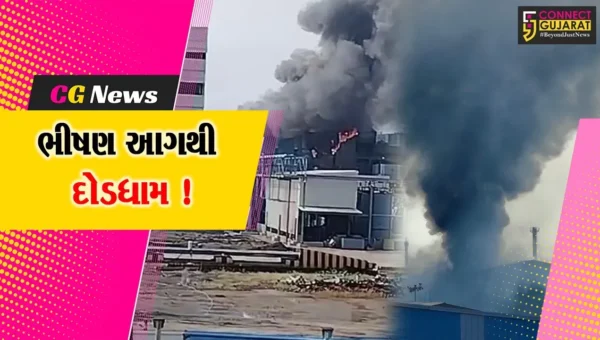 ભરૂચ: દહેજની મેઘમણી ઓર્ગેનિક કંપનીના દોઢ વર્ષથી બંધ પ્લાન્ટમાં આગ