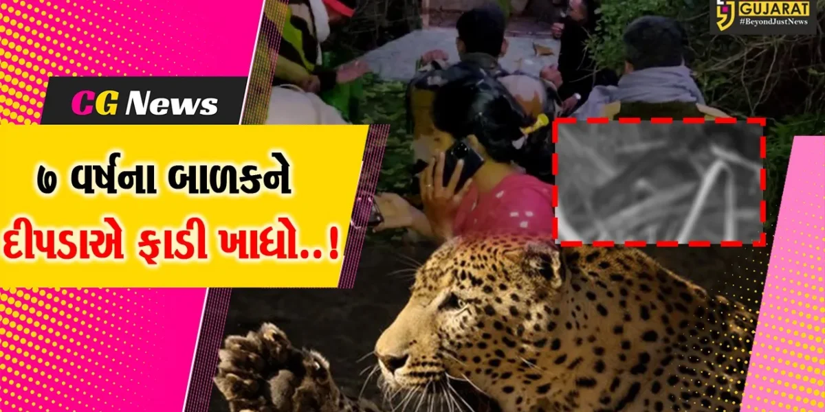 સુરત : માંડવીના ઉશ્કેર ગામે 7 વર્ષીય બાળકને દીપડાએ ફાડી ખાધો, ભારે જહેમત બાદ ખૂંખાર દીપડો પાંજરે પુરાયો…
