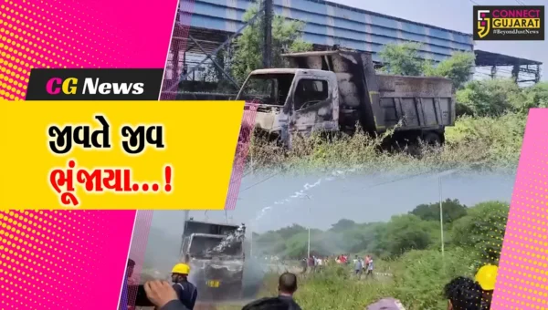 વડોદરા: મંજુસરમાં ડમ્પર વીજ લાઇનને અડી જતાં લાગી આગ,ગોઝારા અકસ્માતમાં બે જીવતા ભૂંજાયા