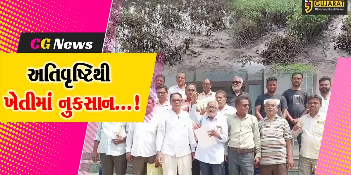 ભરૂચ જિલ્લા ભારતીય કિસાન સંઘ દ્વારા રાજ્યમાં લીલો દુષ્કાળ જાહેર કરવા માંગ